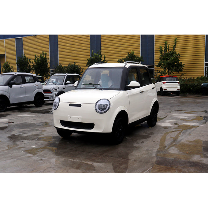 Tiny Electric Car for Mobility